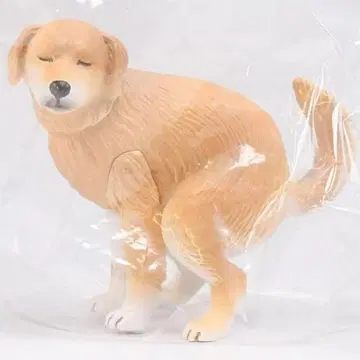 굼벵이 2 시크릿 골든 리트리버 가챠 캡슐 토이