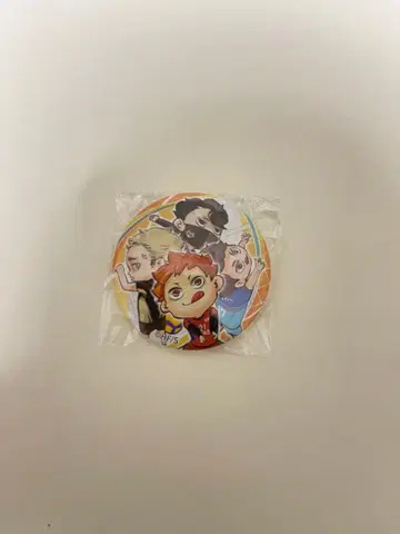 하이큐! 캔뱃지