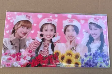 모모카나 AE2025 고베 회장 한정판 티켓 케이스 1개