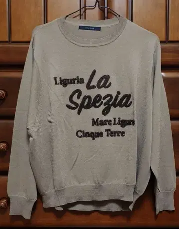 그레디 브릴리언트 사가 자수 로고 니트 풀오버 이번 시즌 미사용 새상품