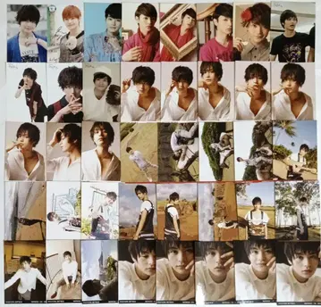 세토 코지 브로마이드 450장 초과 묶음 판매