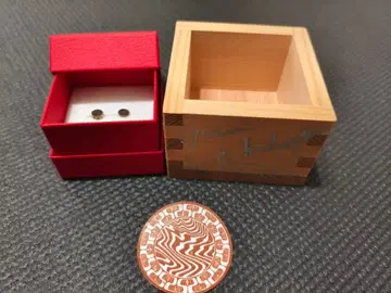 DWS 문 귀걸이 사인 포함