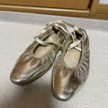 골드 발레 슈즈 르 탈론