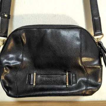 미사용! ANNA SUI 가죽 숄더백 블랙 안나수이