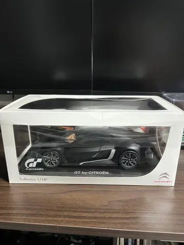 GT 시트로엥 1/18 스케일 미니카