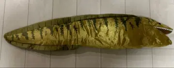 BIG 봉제 인형 곰치