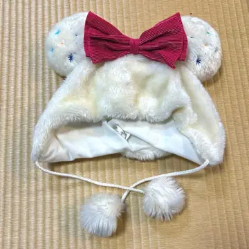 디즈니 팬 캡 25주년