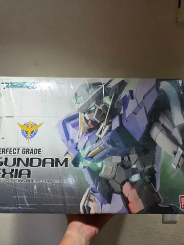 미조립품 PG 건담 엑시아