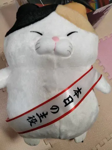 히게 만쥬 축 JB 미사마 봉제 인형 10주년