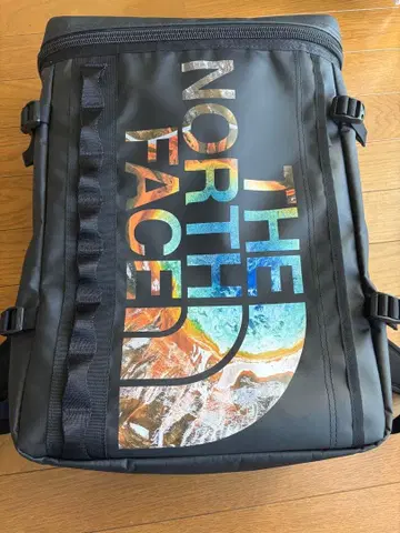 THE NORTH FACE 백팩