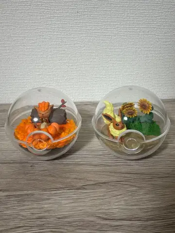 포켓몬 테라리움 컬렉션 로콘 부스터