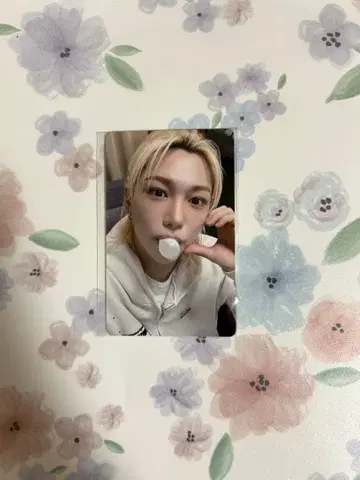 straykids karma 필릭스 트레이딩 카드 fans