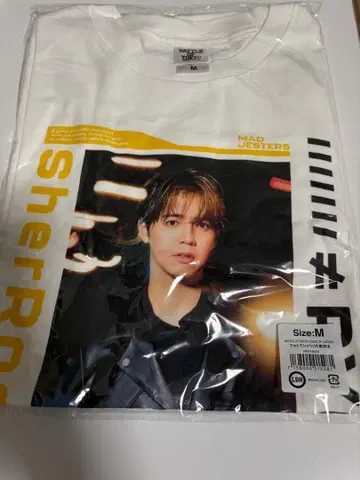 카타요세 료타 사진 T셔츠 M