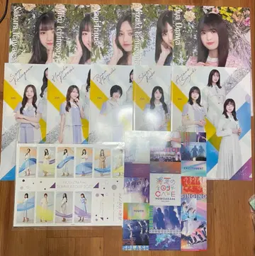 노기자카46 클리어 파일 씰 세트 묶음 판매 11장 1장