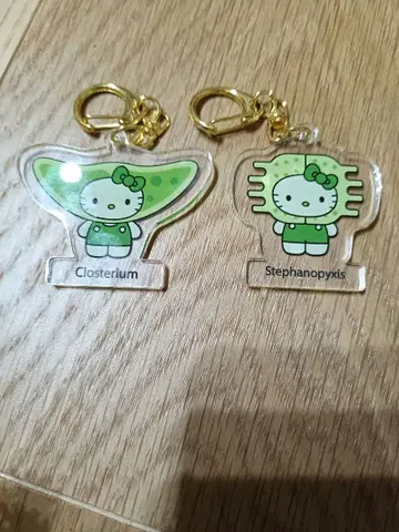 헬로 키티 아크릴 키링 2개 세트