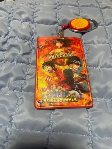 원피스 USJ 패스 케이스