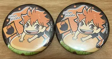 하이큐!! 히나타 쇼요 TO THE TOP 애니메이트 카페 캔뱃지 세트