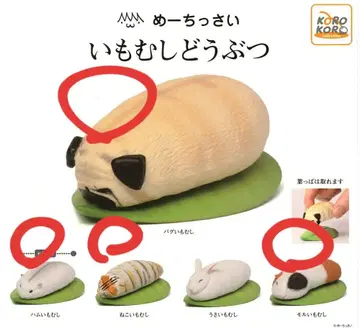 애벌레 동물 4종