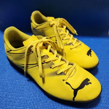 Puma 트레이닝 슈즈 27.5cm