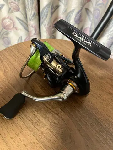 DAIWA 10 셀테이트 2506