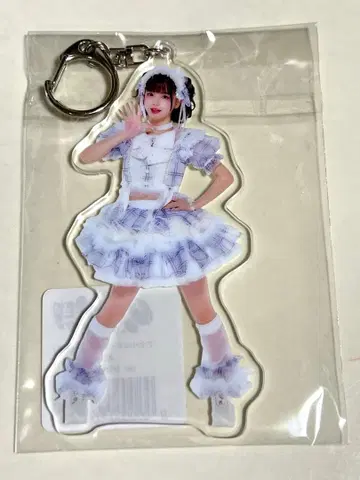 iLIFE! 아크릴 키링 아이스