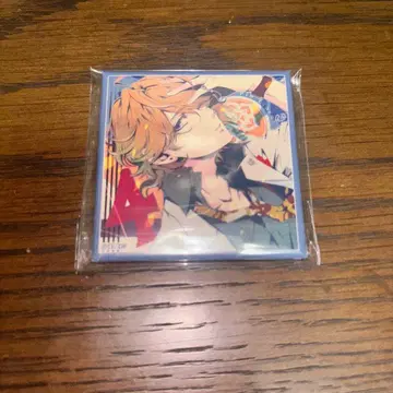 니콜라 스퀘어캔 피오휘