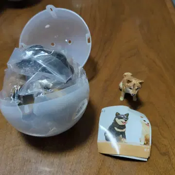 하시모토 미오의 브레멘 음악대 조각해 봤습니다. 시바견 브라운 조각 세트