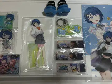 프로세카 키리타니 하루카 묶음 판매