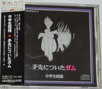 중학생 관 무덤 예비로 붙어 있던 껌 CD