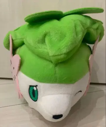 포켓몬 포커스 큰 봉제 인형 쉐이미 랜드포르무