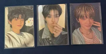 treasure 지훈 트레이딩 카드 3장 세트