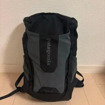파타고니아 24L 백팩 블랙