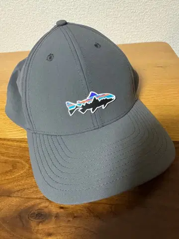 파타고니아 피츠로이 트라웃 채널 워처 캡