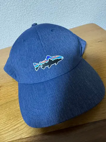 파타고니아 피츠로이 트라웃 채널 워처 캡