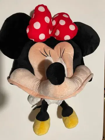 디즈니 미니 팬캡