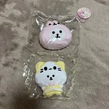 스퀴즈 토끼 고양이