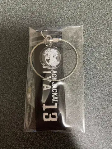 하이큐 크로스키링 미야 아츠무