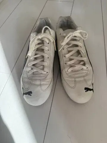 PUMA 로우컷 스니커즈 화이트/블랙 스피도캣