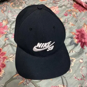 Nike SB 캡