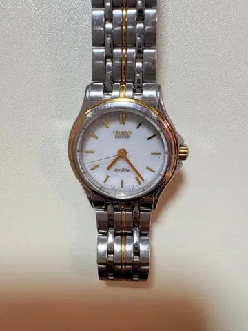 Citizen Eco-Drive 손목시계 실버/골드