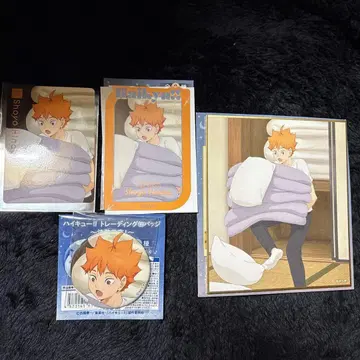 하이큐 이온 페어 결전 전야 히나타 세트