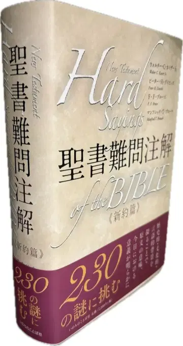 성서 난문 해설 신약편