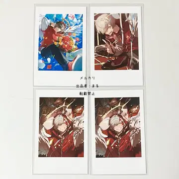 Crazy raccoon CR 생일 폴라로이드 달마이즈갓