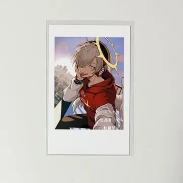 Crazy raccoon CR 셀피 달마이즈갓