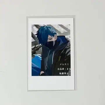 Crazy raccoon CR 셀피 바닐라