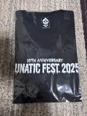 LUNATIC FEST.2025 빅 T
