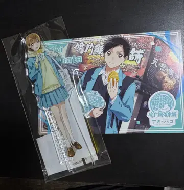 나루토 타이야키혼포 x 푸른상자 아크릴 스탠드 시카노 치나츠 엽서 포함