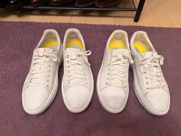 콜한 제로그랜드 토프스핀 프로 25cm 이켤레 세트!