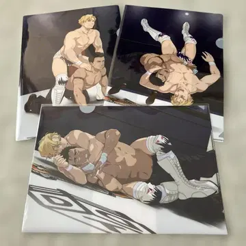 용기 폭발 번 브레이버 DDT 프로레슬링 콜라보 클리어 파일 3장 세트