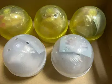 틈새 햄스터 가챠 세트